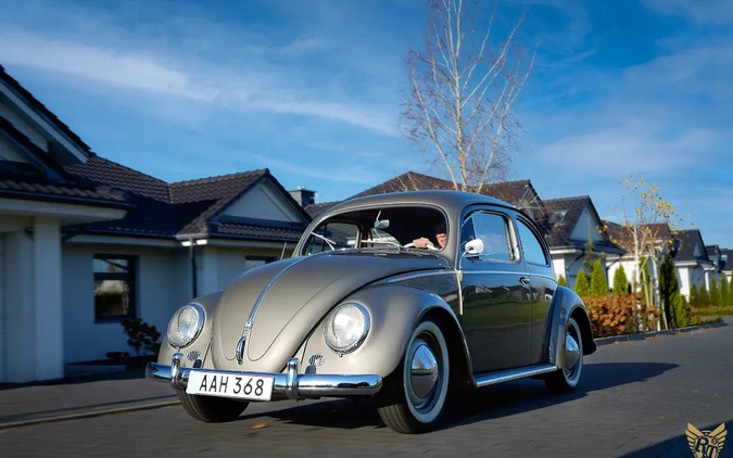 Volkswagen Garbus cena 179000 przebieg: 73845, rok produkcji 1956 z Ostrzeszów małe 742